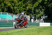 Lower Group Red Bikes